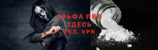 винт Арсеньев