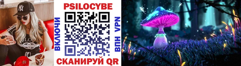 Галлюциногенные грибы Psilocybe  Ужур 